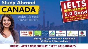 Gaba Immigration Solutions logo