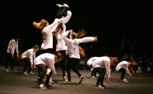 Urban School of Dance, Chandigarh logo