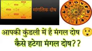 Astrologer Devidas Dharamveer Attri logo