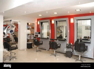 The Indian Salon, Mohali logo