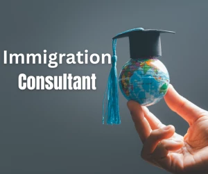 Tricity Immigration Consultants, Baltana, Zirakpur logo