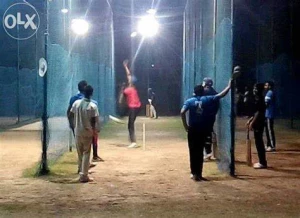 Saint Soldier Cricket Academy, Chandigarh logo