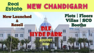 DLF Real Estate Agency, Sector-7, Chandigarh