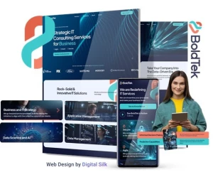 Boldtek India Private Limited logo