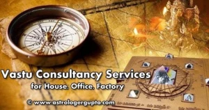 Guru Ji Astro & Vastu Consultancy