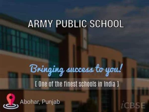 Army Public School, Old Fazilka, Abohar