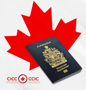 Pro Star Immigration logo