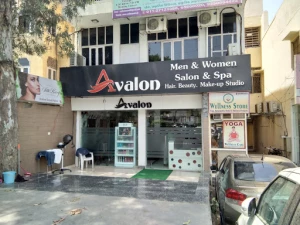 Avalon Unisex Salon logo