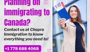 The Chopras, Sector-17, Chandigarh logo