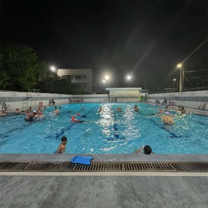 Indian Aquatic Academy, Noida logo