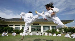 Korean Karate Taekwondo Martial Art, Mohali logo