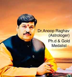 DR.ANOOP RAGHAV :- FAMOUS & BEST ASTROLOGER logo