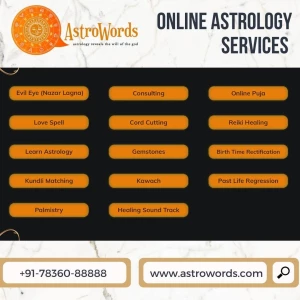 Astrologer Aravind logo