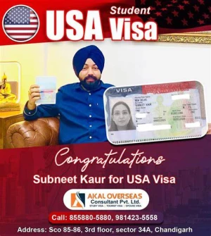 Northern IMMIGRATION and Consultancy Services, Chandigarh logo