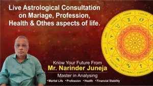 Astrologer Pandit Parsai, Sector-26, Noida logo