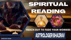 BHAIRAV VASHISHTH, Sector-33, Faridabad logo