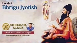 Shri Bhrigu Jyotish Office logo