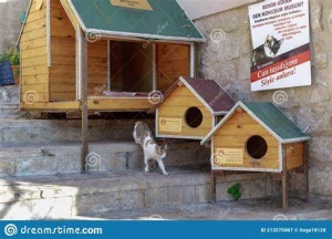 Animal Rain Bashera, Delhi logo