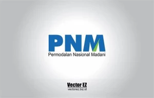 PNM Affordable Homes, New Delhi logo