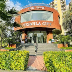 Trishla City, High ground road, Zirakpur logo
