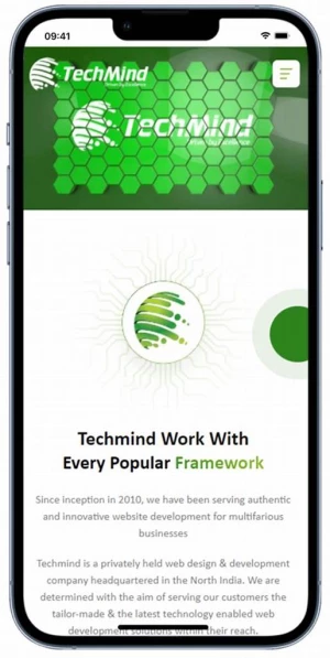 Techmind Softwares, Chandigarh logo