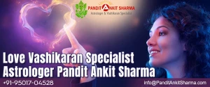 Pt. Ankit Sharma- Astrologer & Vashikaran Specialist