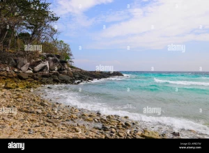 Raya Tourism, Gurgaon logo