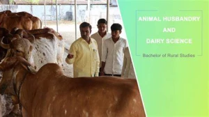 Animal Husbandry Department, Chandigarh logo