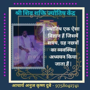 Parsid Jyotish Kendra, Pipalwala town, Chandigarh