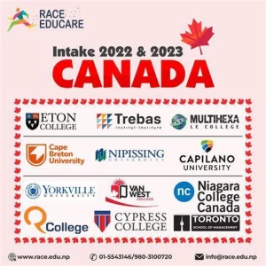 AI Immigrations, Sector-18, Noida