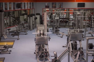 Fitness Mania Gym logo