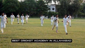 Allahabad Cricket Academy, Allahabad logo