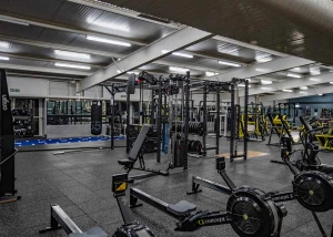 Fit for Life Gym logo