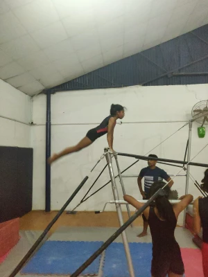 GymNASTIC SCHOOL OF FITNESS AND REHABILITATION PRIVATE LIMITED, Chandigarh logo