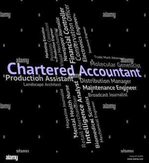 P.K. Sachdev CA, Gurugram logo