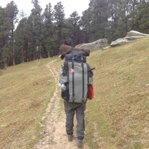 4SeasonsEventsandTours logo