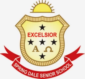 Spring Dale Senior School, Kamla devi avenue, Amritsar logo