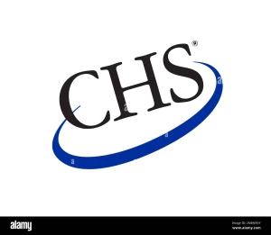 CHS Independent Apartment, South delhi, Delhi logo