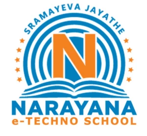 Naryana e-Techno School, Sector-119, Mohgali