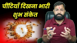 Shakun Astrology, faridabad, Haryana logo