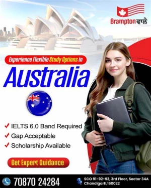 Immigration Wale, Mohali logo