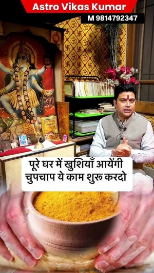 Astrologer  VIkas Kumar logo