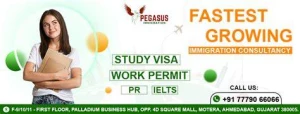 Pegasus Immigration Service LLP. logo