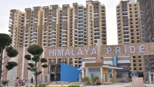 Himalaya ENT, Baddi logo