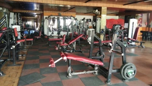 Fitness Fire Gym logo