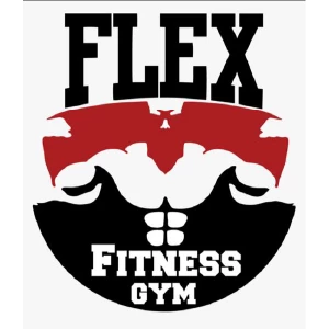Flex Gym,Zirakpur logo