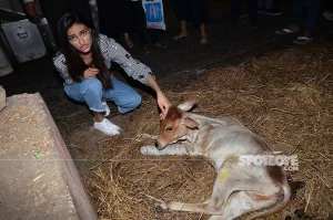 Bombay Society For Prevention Of Cruelty To Animals logo