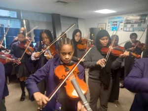 BRIDGE MUSIC ACADEMY, Chnadigarh logo