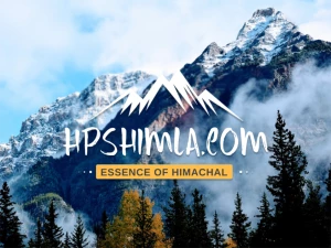 Propertiesinhimachal.com, Sanjauli, Shimla logo