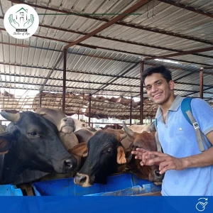 Animal care center chandigarh logo